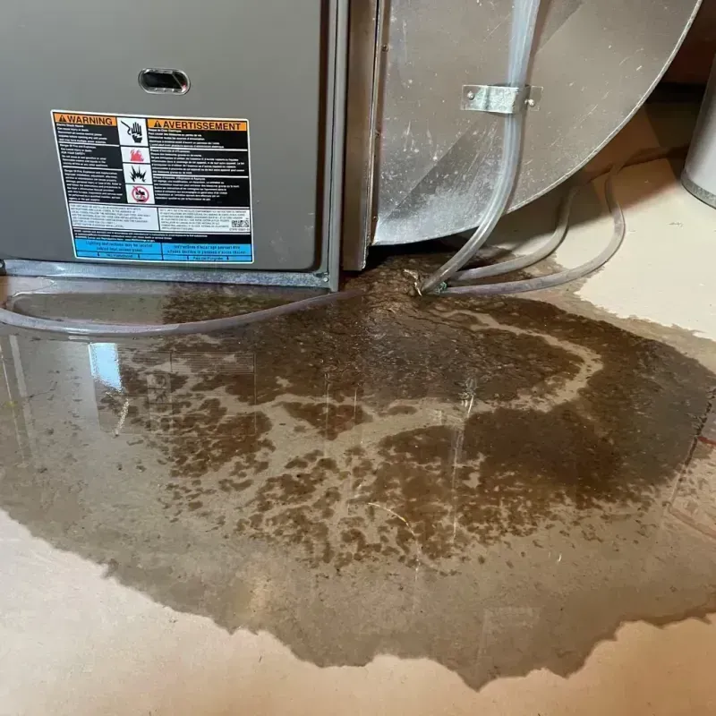 Appliance Leak Cleanup in Moreland, ID